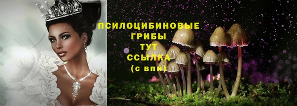 MDMA Premium VHQ Ростов